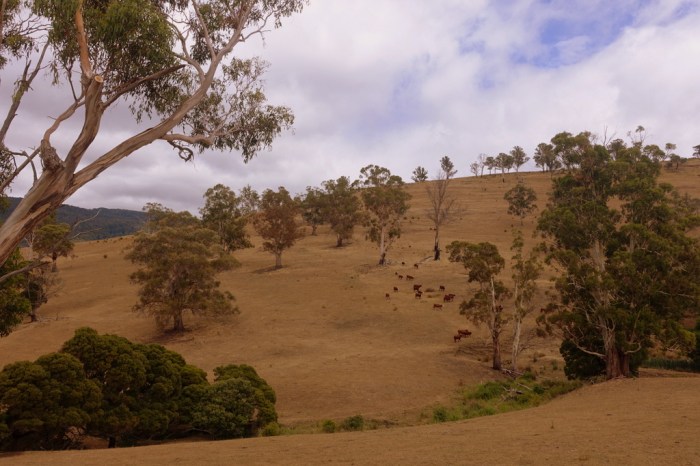 Climbing into the Highlands