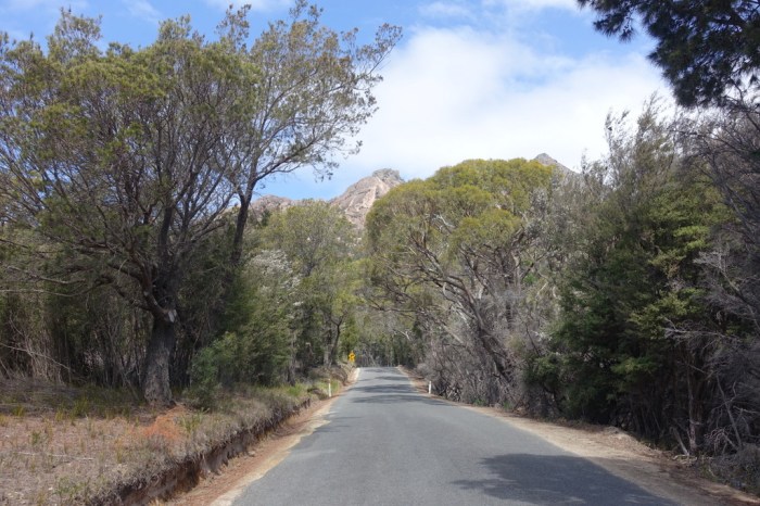 The road to Freycinet National Park