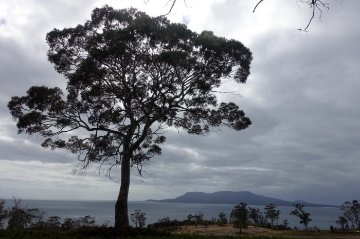 Looking back at Maria Island