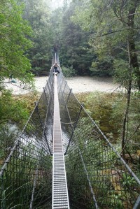 Franklin River Swing Bridge