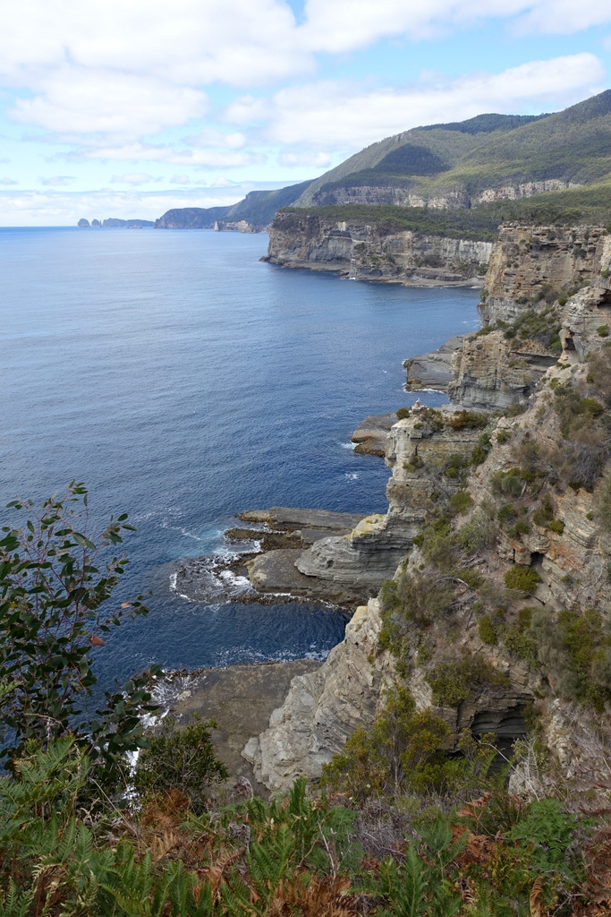 Sea cliffs of the Tasman peninsula