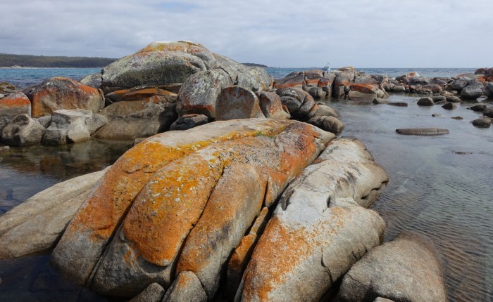 Cycling Tasmania – Day&nbsp;1