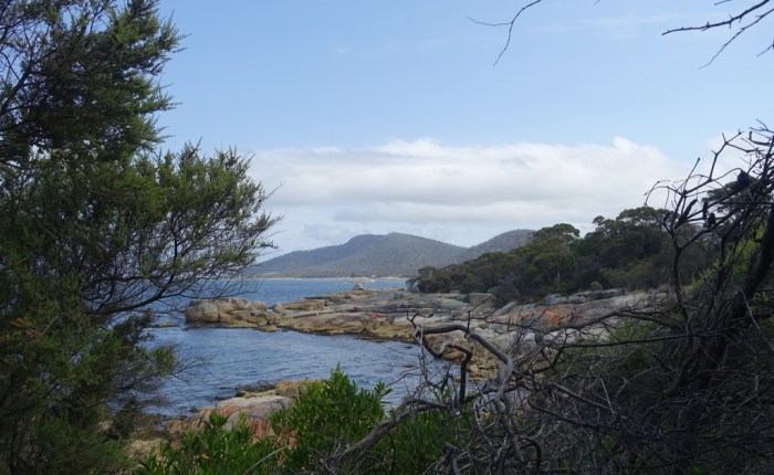 Cycling Tasmania – Day&nbsp;2