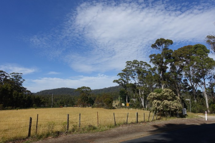 Farmland in the Tasmanian hills