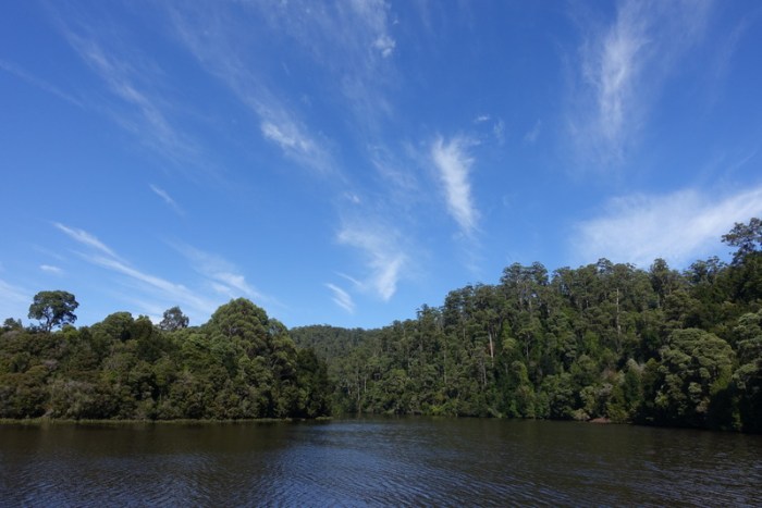 Tarkine Wilderness