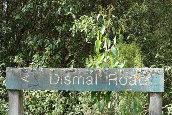 Really, Tasmanian roads aren't this bad