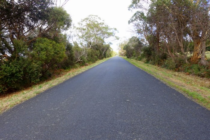 Theme of the day - long, straight, and flat(ish)