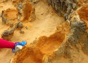 Cape Bridgewater - A brightly dressed leg gives scale to the volcanic "trees"