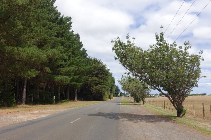 Sometimes it gets a little windy here