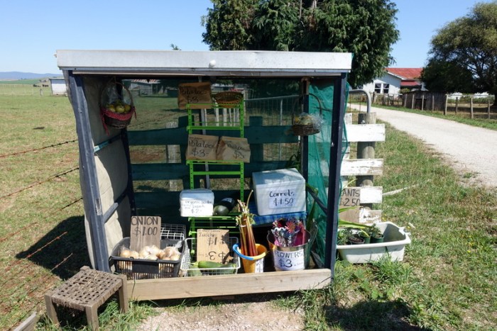 Farm-fresh veggies for sale