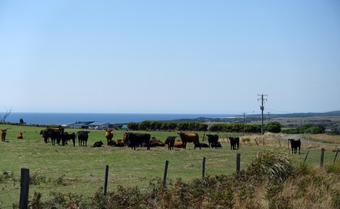 Back to the East Coast of Tasmania