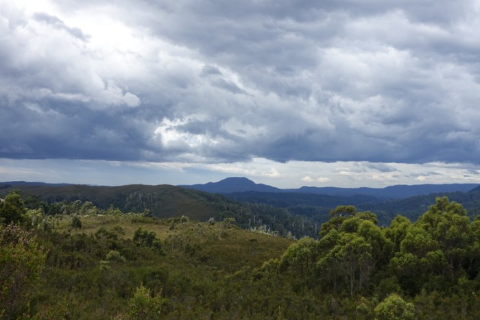 Tarkine Wilderness