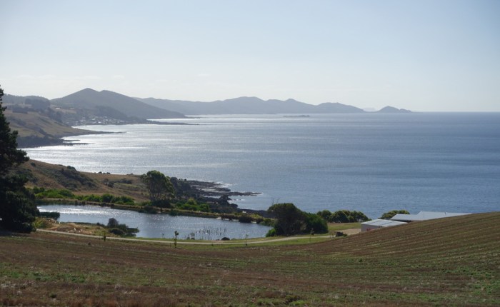Looking toward Stanley
