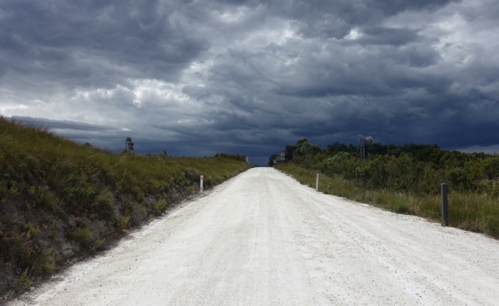 Deep into the Tarkine&nbsp;Wilderness