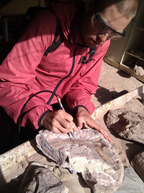 Argentina, 2011 - Extracting bone from hard rock as a volunteer at a dinosaur dig site