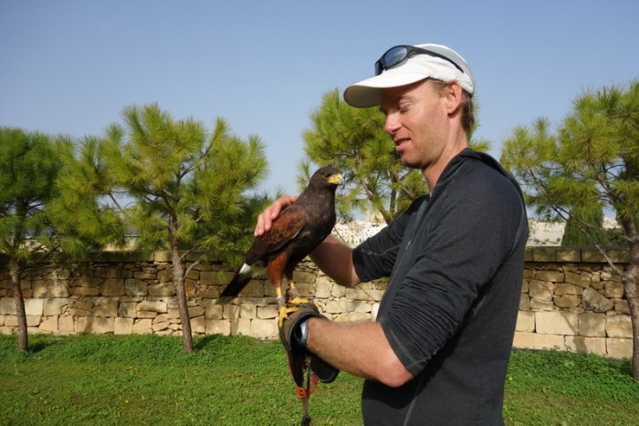 Malta, 2014 - Learning the art of Falconry at the Malta Falconry Centre