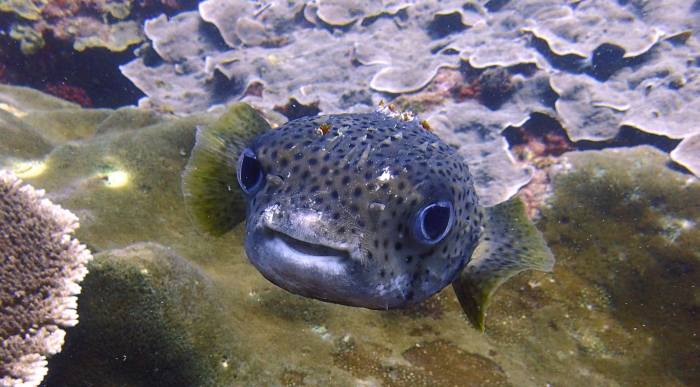 "Hi there! Welcome to my world"