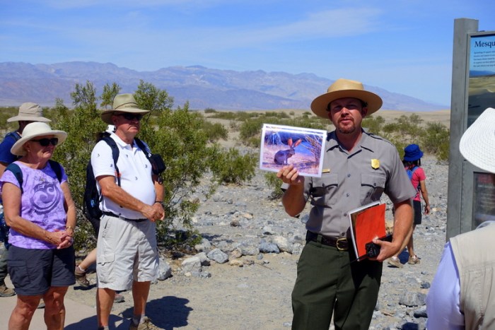 Learning about desert wildlife in a Park Ranger presentation