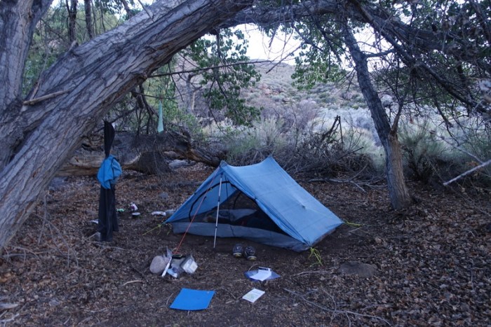 Camping in the shade