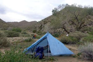Camped in Dead Horse Canyon
