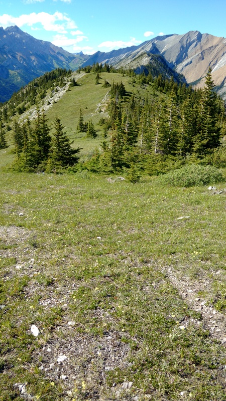 So many good places to camp