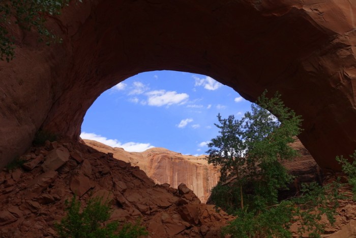 A window on the world