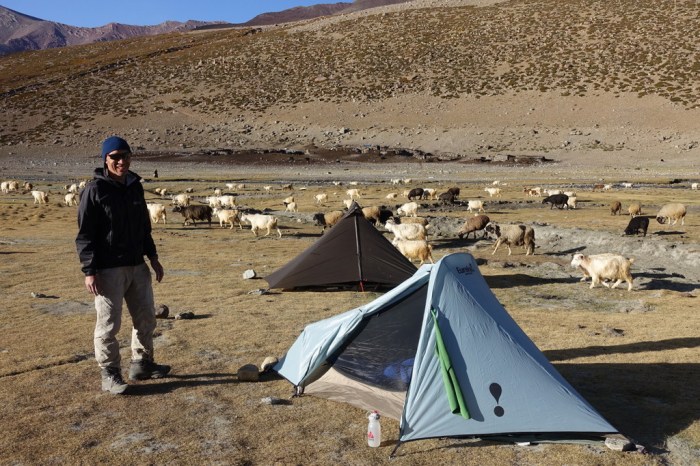 We camped just below the pass. Sheep everywhere!