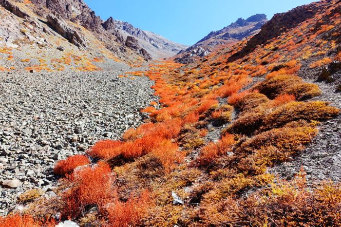 Autumn colours jump out at us