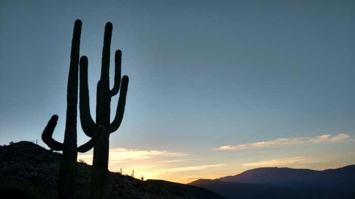 January - I discover my new favourite place to hike & cycle - the Sonoran Desert of Southern Arizona