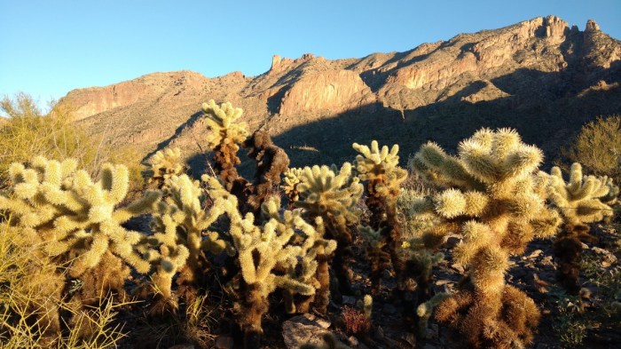 February - Crisp early mornings give way to scorched afternoons
