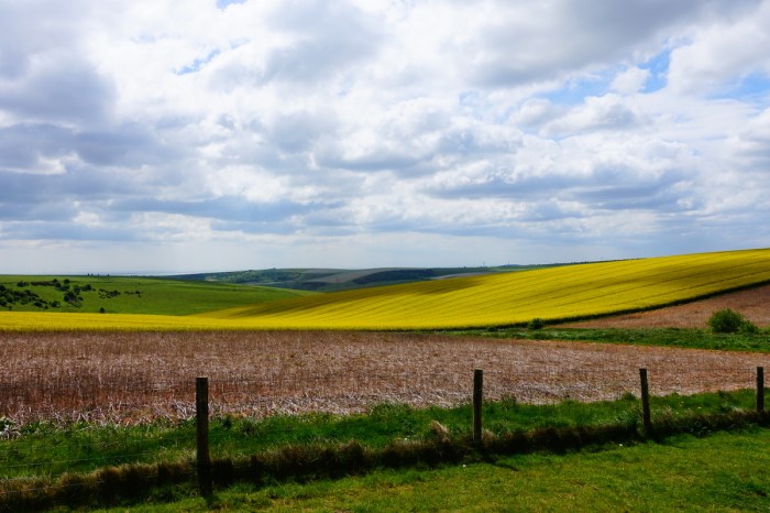 May - I discover the soft rolling landscapes of England's South Downs Way