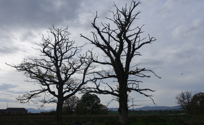 Beginning the West Highland Way