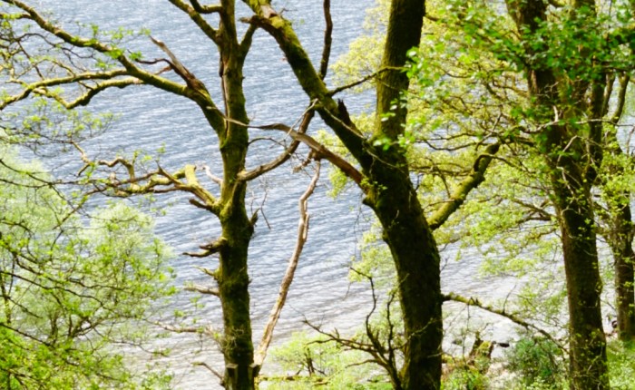 All the shades of green