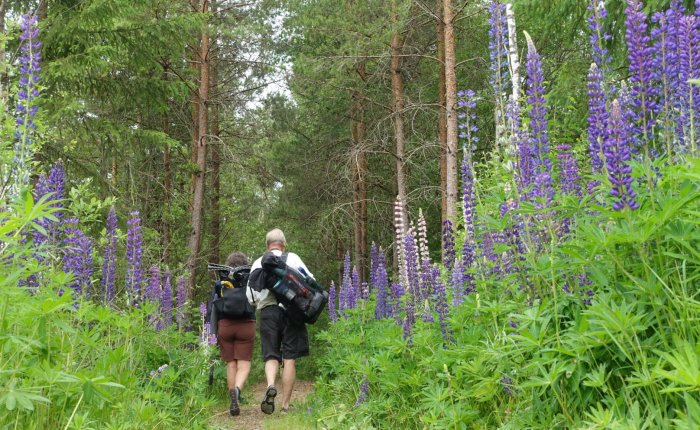 Walking Coast to Coast across&nbsp;Sweden