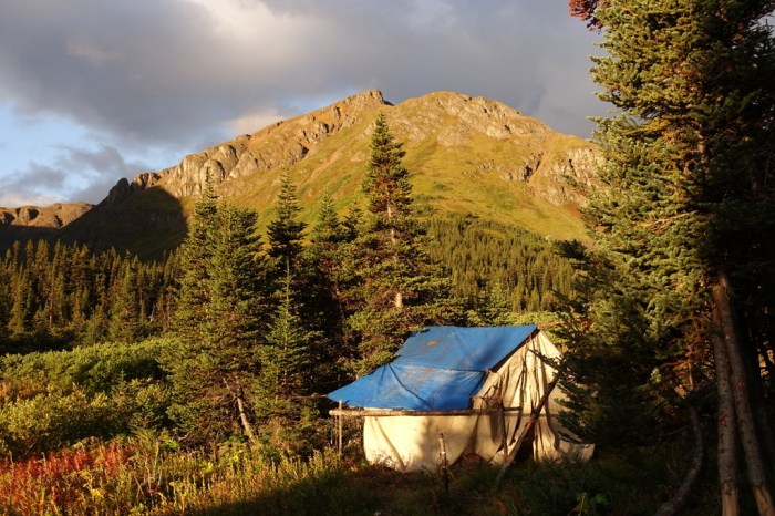 Jim & Calder's bedroom last night