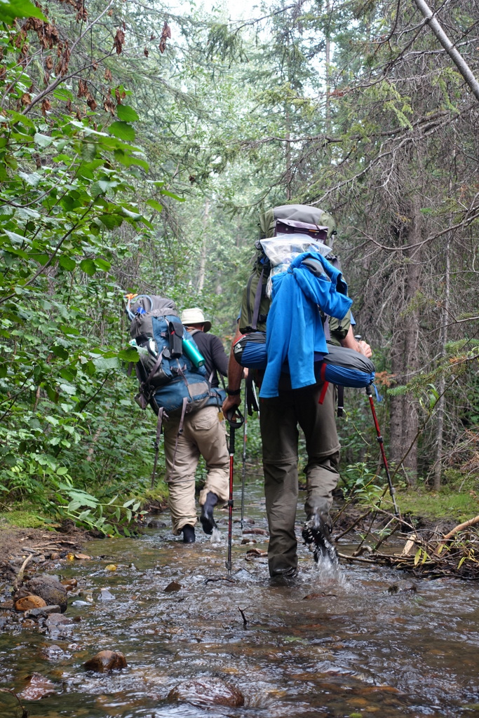 The trail goes straight down the stream