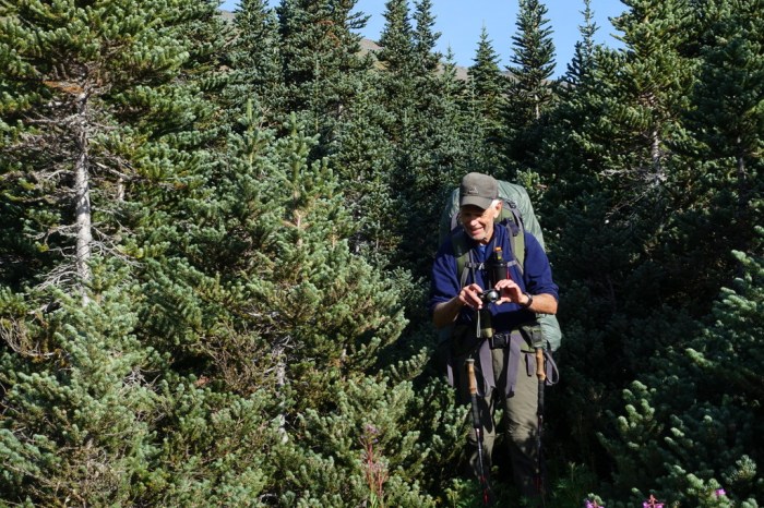Bushwacking up the other side of Raspberry Pass