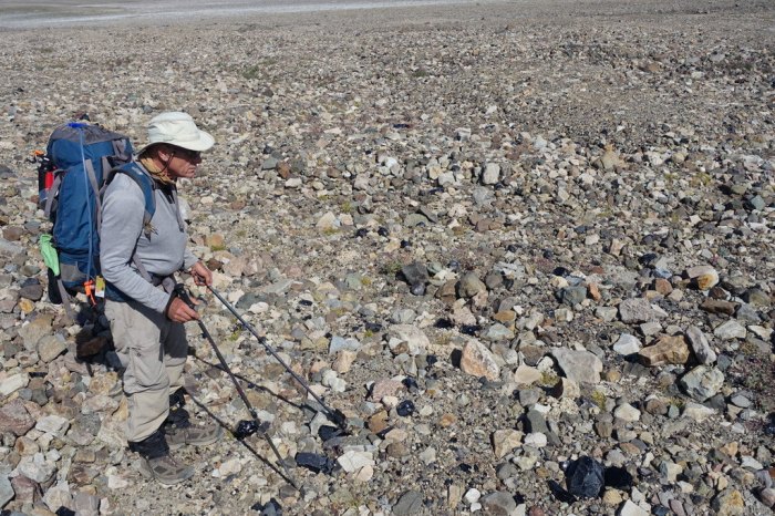 Calder finds obsidian!