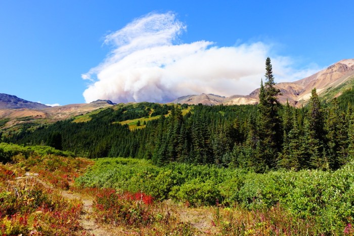 Threatening cloud (smoke?) over Chakima Creek