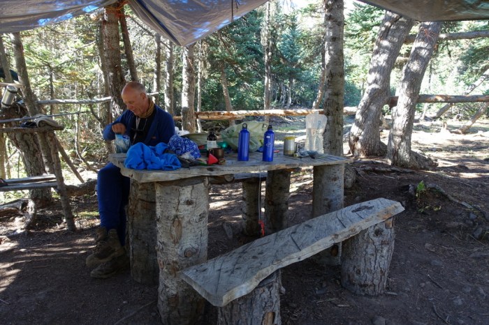 We found a horse camp