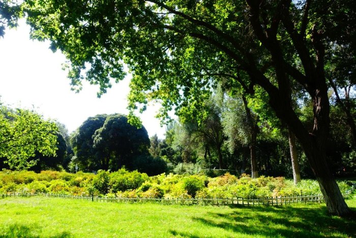 Urumqi People's Park Urumqi People's Park