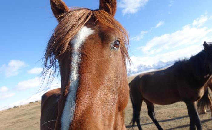 Sleeping in a Yurt in&nbsp;Kyrgyzstan