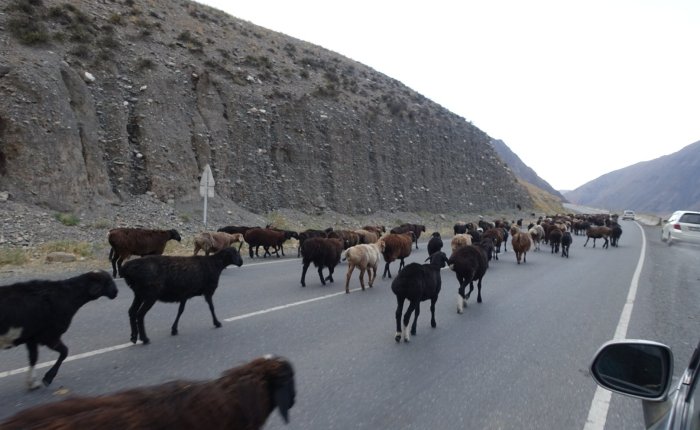 Crossing the border from China to&nbsp;Kyrgyzstan