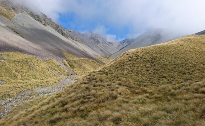 The highest point on the Te&nbsp;Araroa