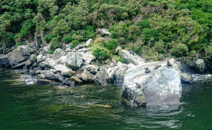 Magnificent Milford Sound