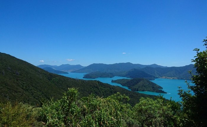 Walking New Zealand’s Queen Charlotte&nbsp;Track