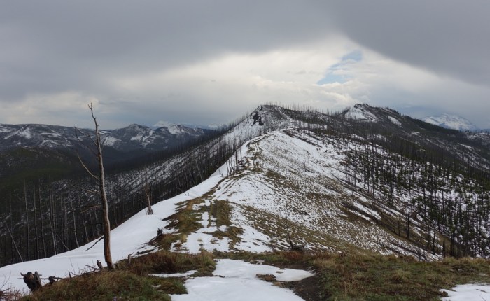 Great Divide Trail – Too&nbsp;Early?