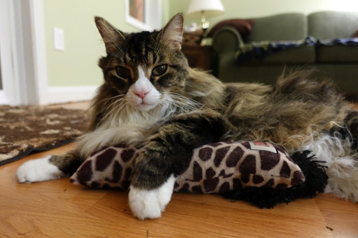 April - It's always good to come back home and see loved ones again