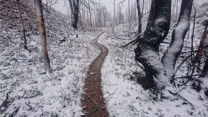 May - I begin walking the Great Divide Trail and it's much too early in the season