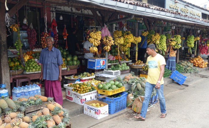 Returning to Sri Lanka